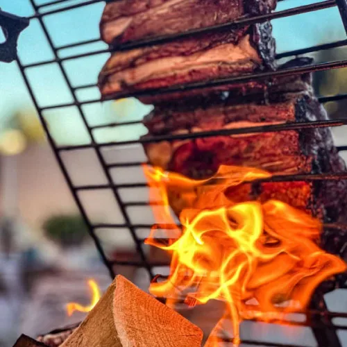 Costillar-a-la-llama-2